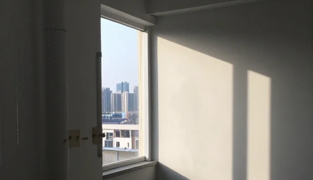 软件维护策略：如何应对性能与适用条件的挑战